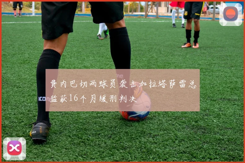 费内巴切两球员袭击加拉塔萨雷总监获16个月缓刑判决