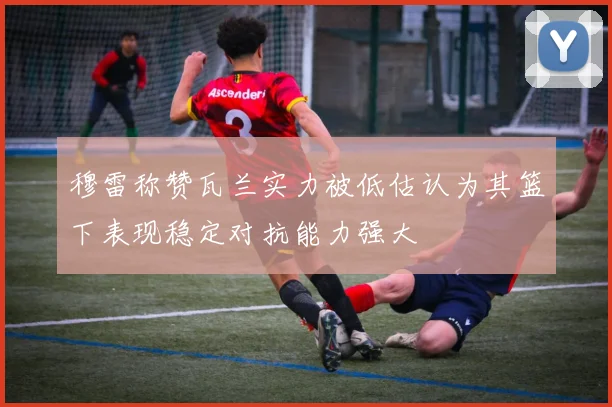 穆雷称赞瓦兰实力被低估认为其篮下表现稳定对抗能力强大