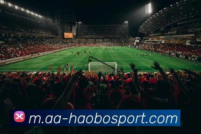 多媒体互动体验