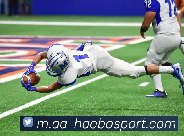 好博足球APP 高清赛事图